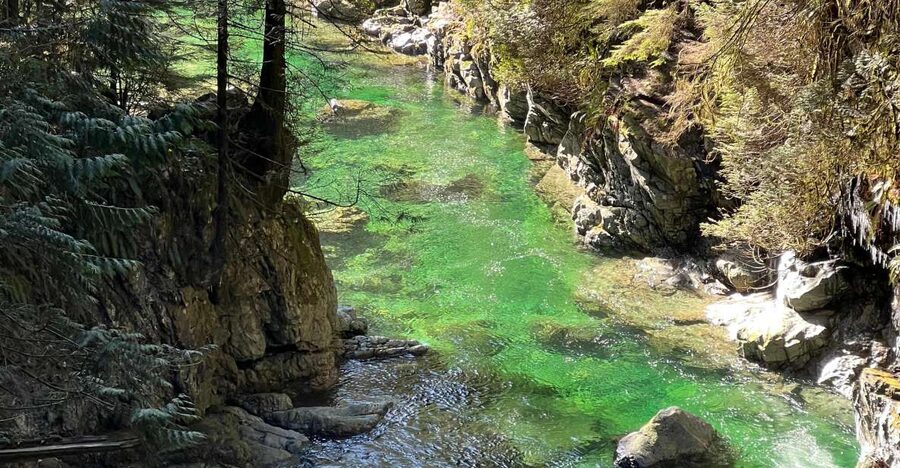 Vancouver: Rainforest Waterfall Hike and Suspension Bridge - Should You Book Breakaway Adventures’ Rainforest Waterfall Hike?