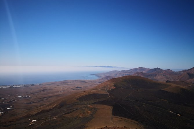 Vineyards of La Geria hiking tour - What the guide teaches on the climb (and why it matters)