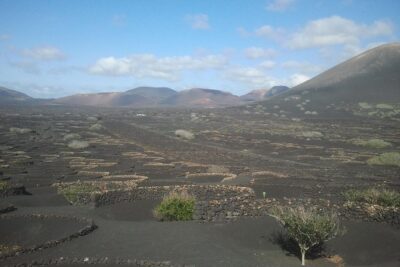 Vineyards of La Geria hiking tour - Meeting at Bodegas Rubicón: the setting you start from
