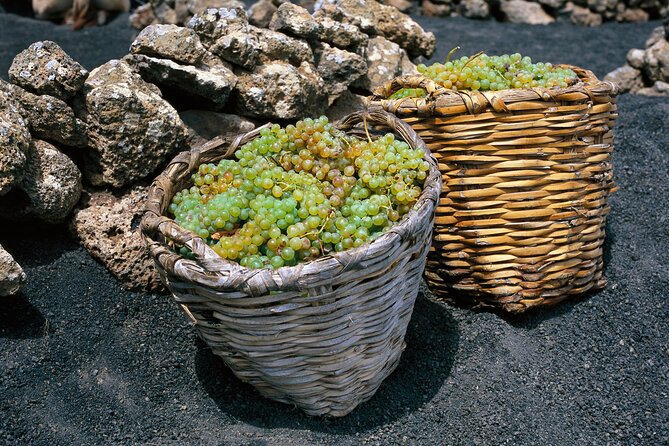 Vineyards of La Geria hiking tour - Pace, group size, and footwear: the “make it enjoyable” checklist