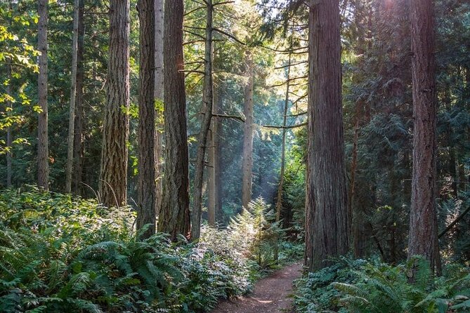 Visit Snoqualmie and Hike to Twin Falls (Transportation included) - Olallie State Park: temperate rainforest time, not just a photo stop