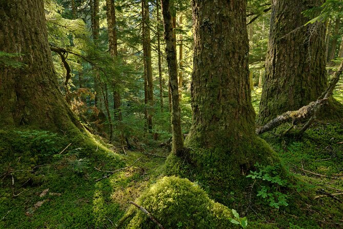Visit Snoqualmie and Hike to Twin Falls (Transportation included) - Who this tour fits best (and who should think twice)