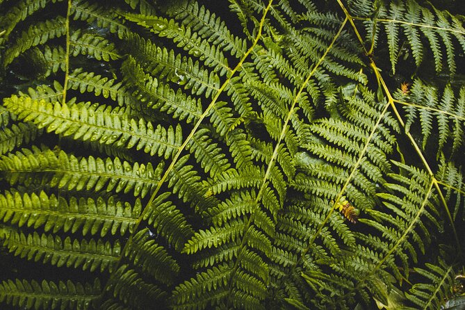 Visit Snoqualmie and Hike to Twin Falls (Transportation included) - What to pack for Snoqualmie and Olallie in real life