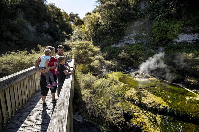 Volcanic Valley Self Guided Walking and Hiking at Waimangu - Watching hot springs and steam vents in forest and grassland