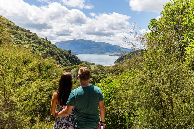 Volcanic Valley Self Guided Walking and Hiking at Waimangu - Timing, weather, and when steam looks best