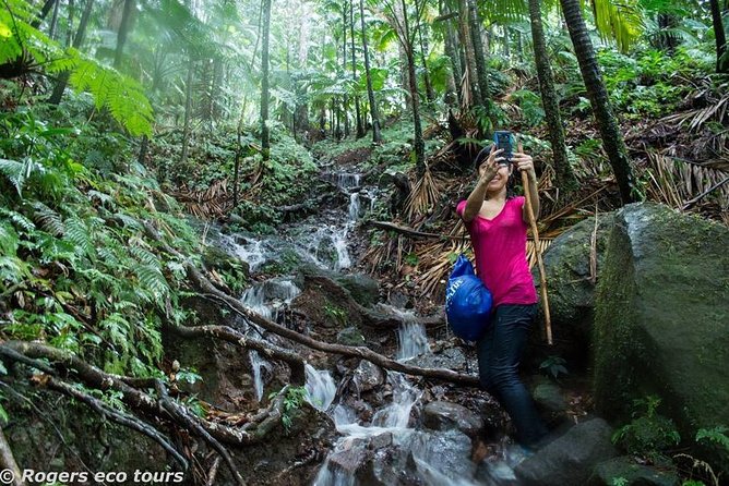 Volcano Caldera (Mt. Liamuiga) Trek / Hike - Key highlights worth lacing up for