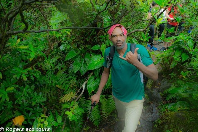 Volcano Caldera (Mt. Liamuiga) Trek / Hike - Price and timing: is $90 worth 7 hours?
