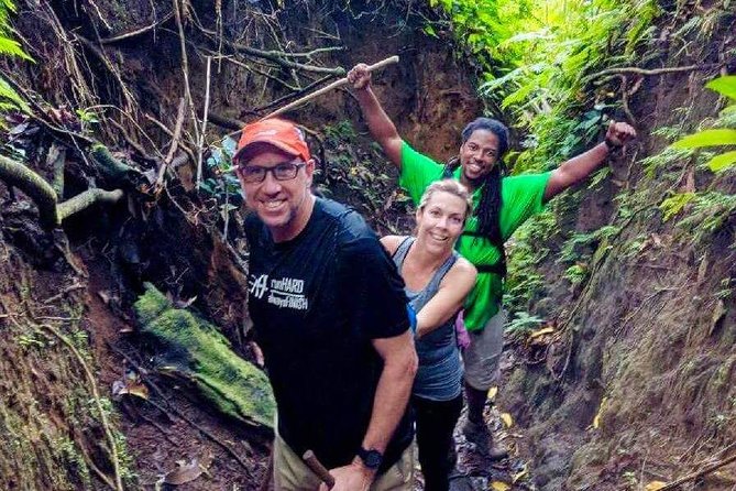 Volcano Crater Hiking Tour in St Kitts - Volcano views that start with a tough climb