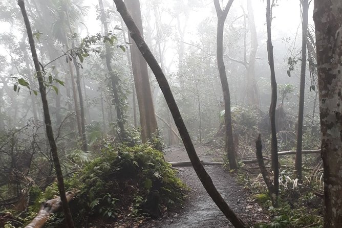 Volcano Crater Hiking Tour in St Kitts - What’s included (and what you should bring anyway)