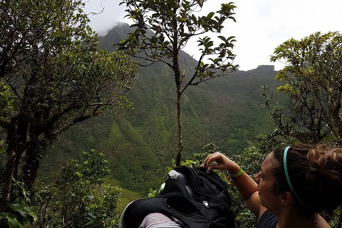 Volcano Crater Hiking Tour in St Kitts - Weather reality on St Kitts volcano trails