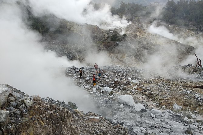 volcano hike and jungle trekking adventure - The rainforest trekking segment: how the jungle part adds real value
