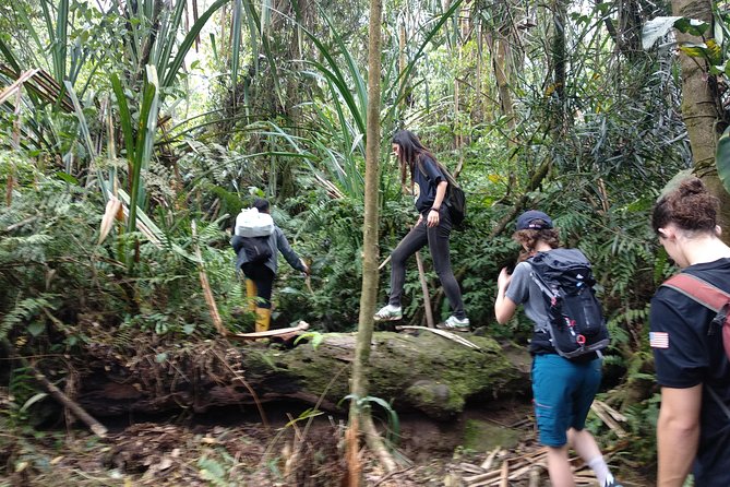 volcano hike and jungle trekking adventure - Hot springs and waterfall swim: the payoff after volcano walking