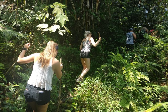 volcano hike and jungle trekking adventure - Guides and drivers: why this tour feels smooth in a real way