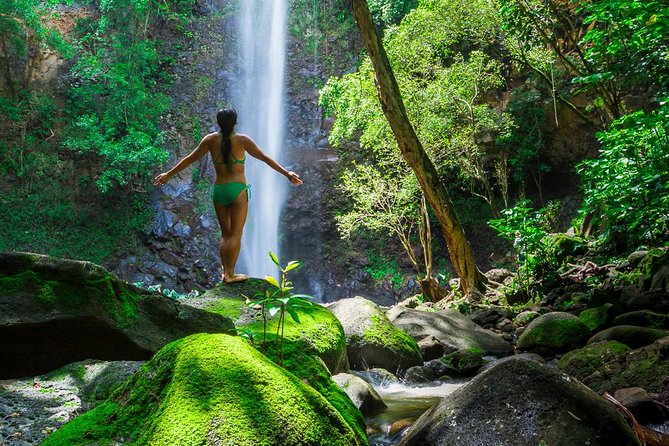 Wailua River Kayak and Sacred Falls Guided Hike with Lunch - Kayak portion: what the paddle feels like