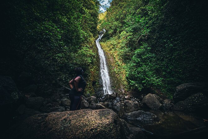 Waterfall Hike in Hawai'i Rainforest Trail - Your Local Guide and Why Small Groups Matter