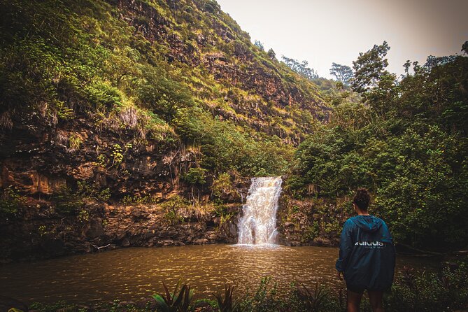 Waterfall Hike in Hawai'i Rainforest Trail - Timing That Works: How 3 Hours Fits Your Honolulu Day