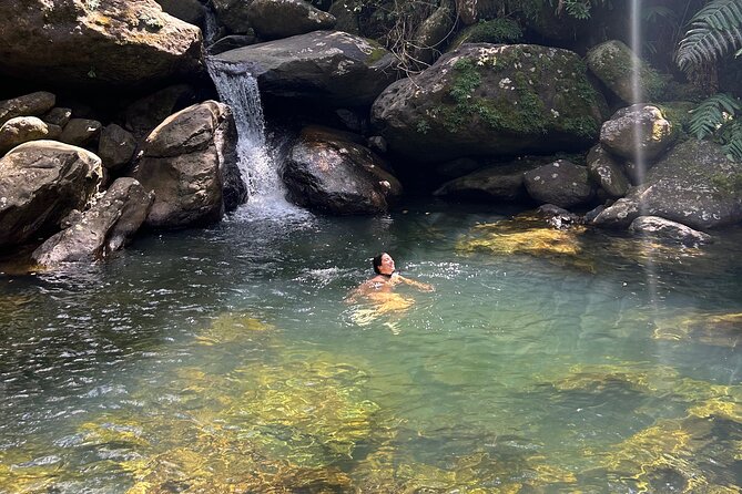 Waterfall Hike in Remote Area of El Yunque Rainforest; San Juan - From Condado to El Yunque: How the Getting-There Sets the Mood