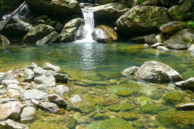 Waterfall Hike in Remote Area of El Yunque Rainforest; San Juan - Following the Espiritu Santo River: The Best Part Starts Early