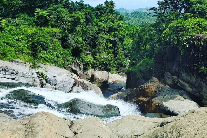 Waterfall Hike in Remote Area of El Yunque Rainforest; San Juan - Price and Value: Is $115 Worth It?