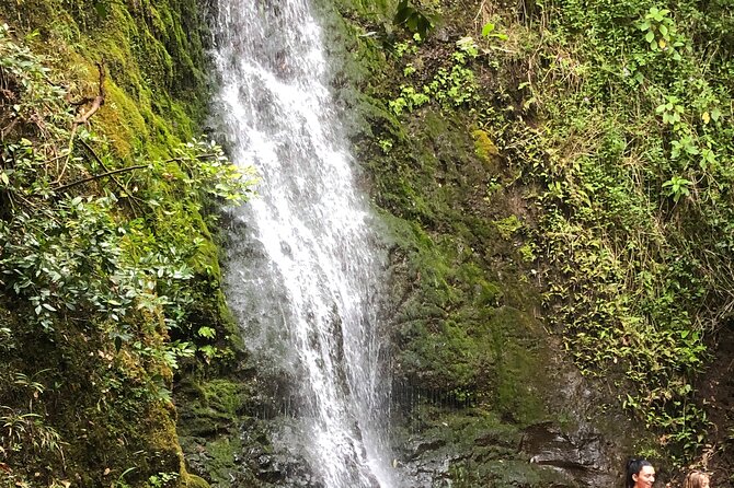 Waterfall Hike , Sightseeing & East Side Beach Day - Why this Oahu combo makes sense when you want both nature and downtime