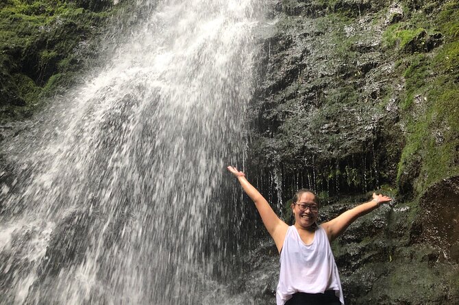 Waterfall Hike , Sightseeing & East Side Beach Day - Hotel pickup, van comfort, and how your guide uses the drive