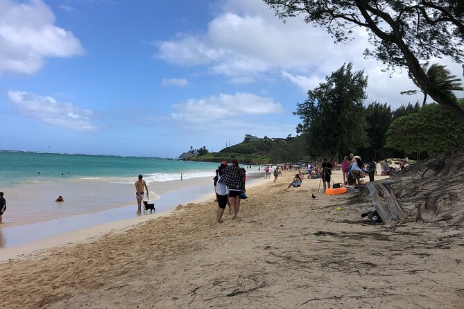 Waterfall Hike , Sightseeing & East Side Beach Day - East-side beach time: restrooms, relaxation, and possible sea turtle sightings