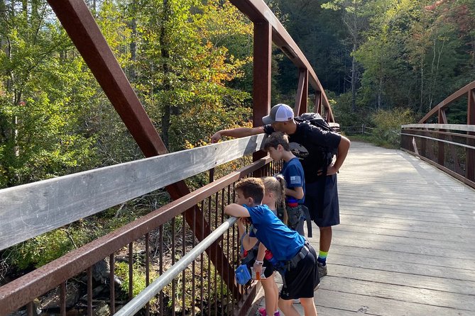 Waterfall Jeep Tour - Backroads and Scenic Views - Looking Glass Falls: iconic, but the timing plan helps