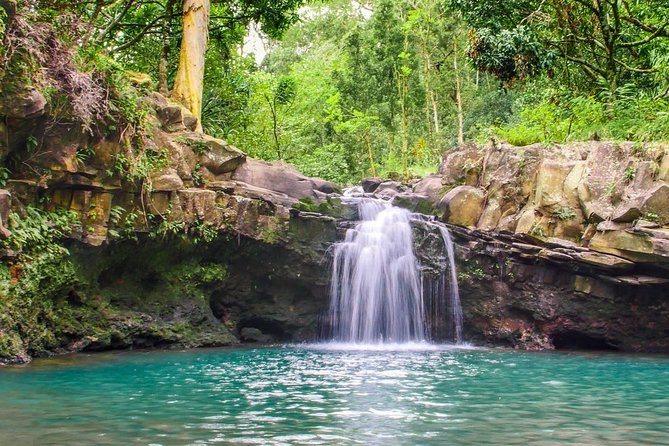 Waterfall & Rainforest Hiking Adventure with Hotel Pickup - Price and Value: Is $229.32 Worth It?