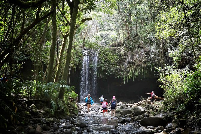 Waterfall & Rainforest Hiking Adventure with Hotel Pickup - Hana Highway Drive: Scenic, Then Rainforest Work Begins