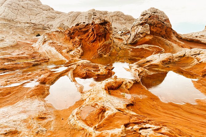 White Pocket Morning Off-Road Guided Hike Activity (Small Group) - Key Things I’d Prioritize