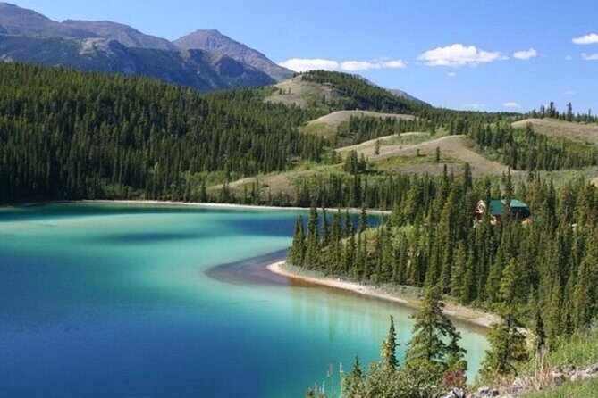 Wild Adventure Yukon Tour into Canada including City and Summit - Skagway Pickup That Respects Your Cruise Clock