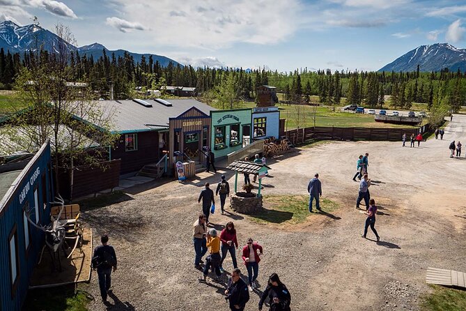 Wild Adventure Yukon Tour into Canada including City and Summit - Why This Road Trip Costs $169 and Still Feels Like Value