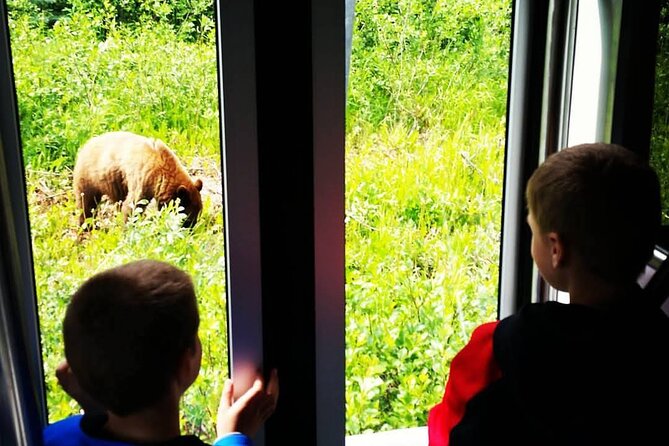 Wild Adventure Yukon Tour into Canada including City and Summit - Wild Adventure Yukon (Formerly Caribou Crossing): Lunch, Museums, and Petting Zoo Time