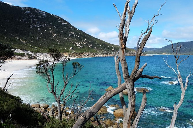 Wilsons Promontory Hiking Day Tour - 8 Person Max Small Group - Coastal Walking Blocks, Tidal River Side, and the Mount Bishop Surprise
