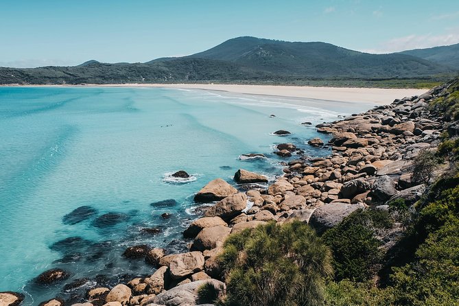 Wilsons Promontory Hiking Day Tour - 8 Person Max Small Group - Small-Group Touring: What “Max 8” Changes Immediately