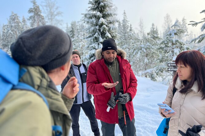 Winter Wonderland Hike in a National Park - Key highlights you’ll care about