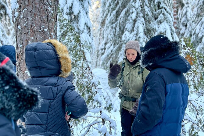 Winter Wonderland Hike in a National Park - From Kiasma to the Taiga: getting out of Helsinki fast