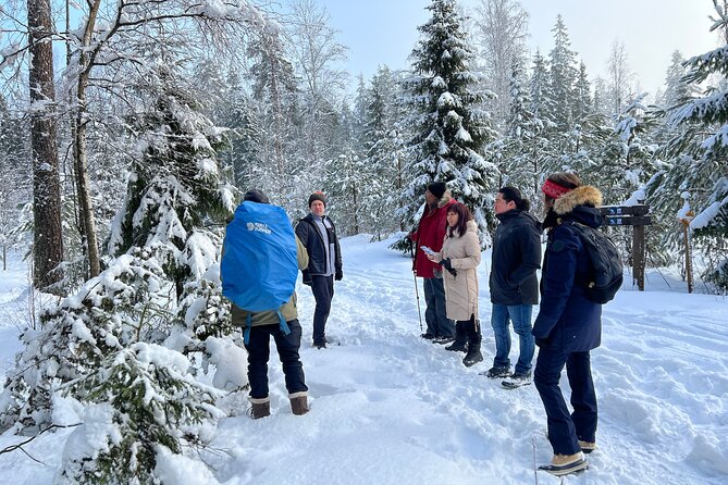 Winter Wonderland Hike in a National Park - What your guide points out on the winter trails