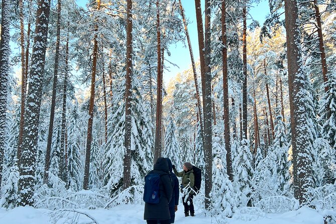 Winter Wonderland Hike in a National Park - If there’s less snow than expected: still worth it, but with the right mindset