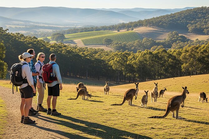 Yarra Valley by night! Private wine, whisky and dinner tour - Key highlights worth marking on your map