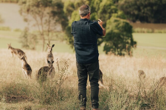 Yarra Valley by night! Private wine, whisky and dinner tour - Healesville for tastings and village atmosphere: choose your path