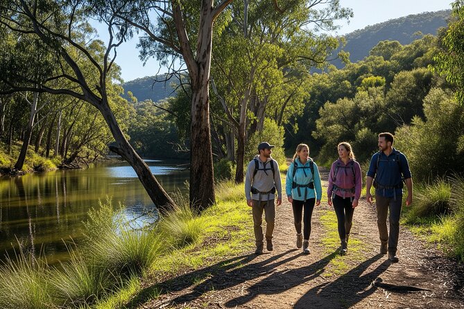 Yarra Valley by night! Private wine, whisky and dinner tour - Transport and timing: the main stress-free feature