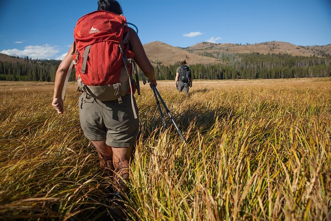 Yellowstone Full Day Private Tour & Hike - Pickup from Jackson - Why this Yellowstone private hike from Jackson feels different