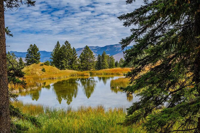 Yellowstone Full Day Private Tour & Hike - Pickup from Jackson - Hayden Valley: where wildlife spotting becomes the main event