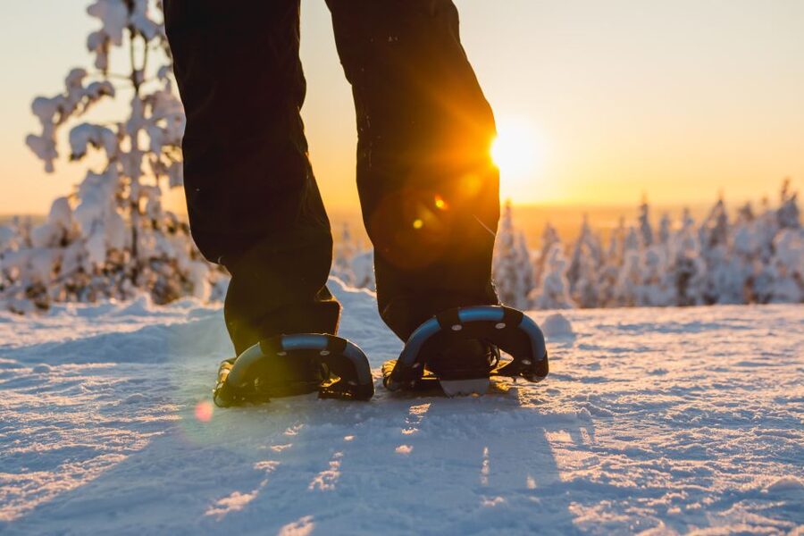 Ylläs: Forest Hike with Snowshoes - Why Ylläsjärvi Forests Feel Different in Daylight