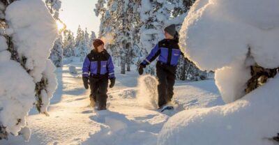 Ylläs: Forest Hike with Snowshoes - Getting There: Transfers and the 2.5-Hour Window
