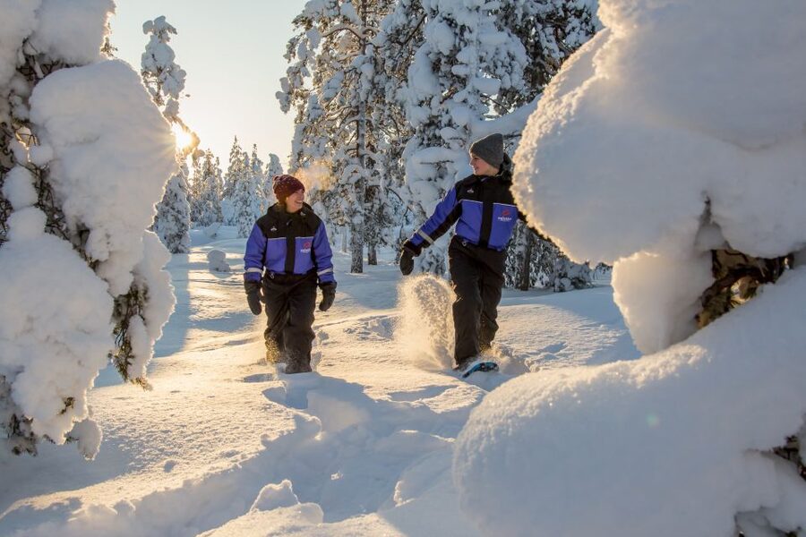 Ylläs: Forest Hike with Snowshoes - Animal Tracks Talk You Can Use Immediately