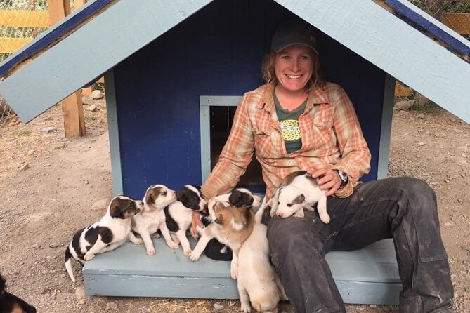 Yukon Husky Puppy Play Time & Summit Tour - What to bring (so you don’t lose time in the cold)