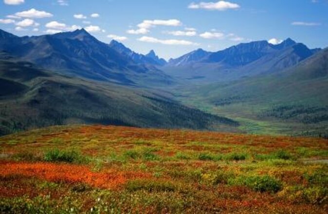 Yukon Suspension Bridge and Summit Tour - The White Pass Summit and Yukon Suspension Bridge in one efficient shore day