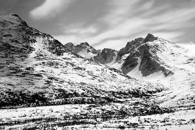 Yukon Suspension Bridge and Summit Tour - Passport and entry rules: bring the right document, or you’re out